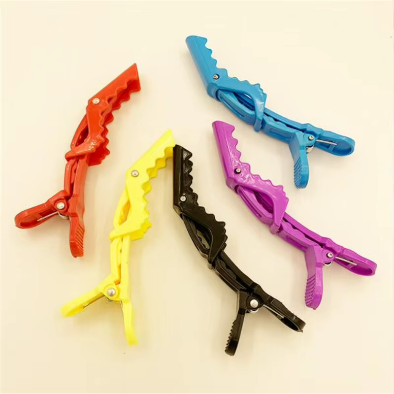 Lot de 5 pinces à cheveux en plastique