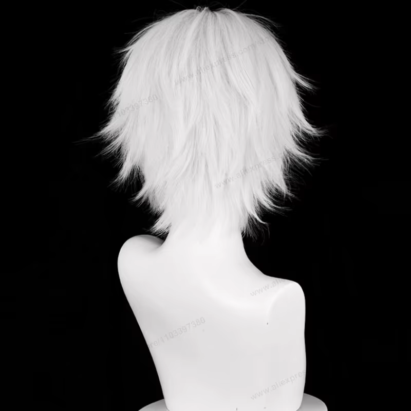 Kaneki Ken Cosplay perruque 30 cm court argent blanc homme cheveux Anime résistant à la chaleur perruques synthétiques